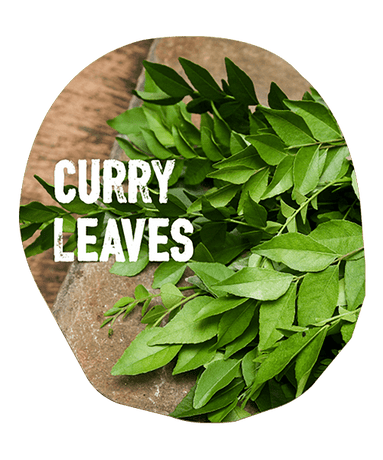 Ingredients: Curry Leaves