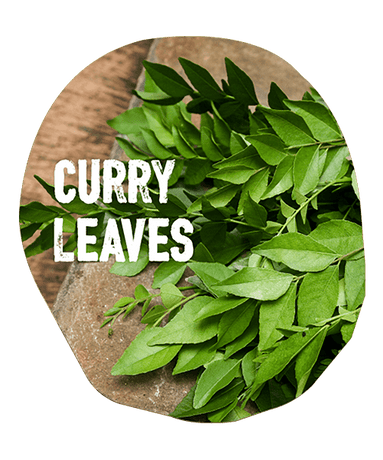 Ingredients: curry_leaves