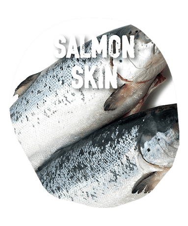 Ingredients: Salmon Skin